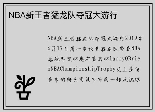 NBA新王者猛龙队夺冠大游行